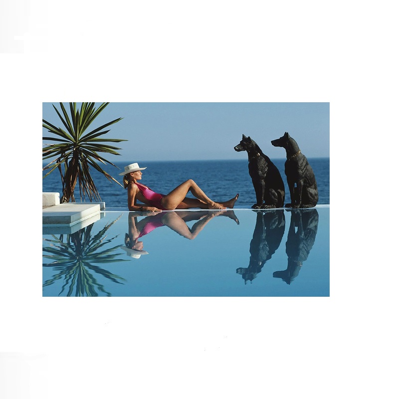 Retro Poolside Host Luxury Lif - Luxury Lifestyle Living avis et prix